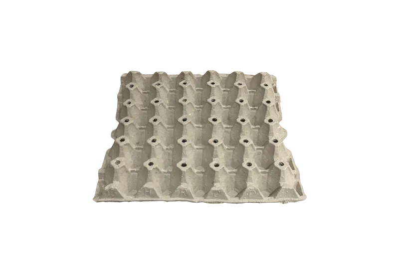 Egg Tray 15