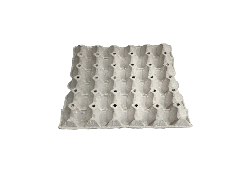 Egg Tray 17