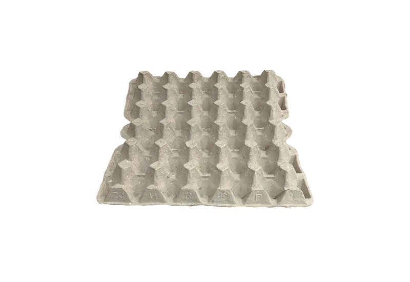Egg Tray 20