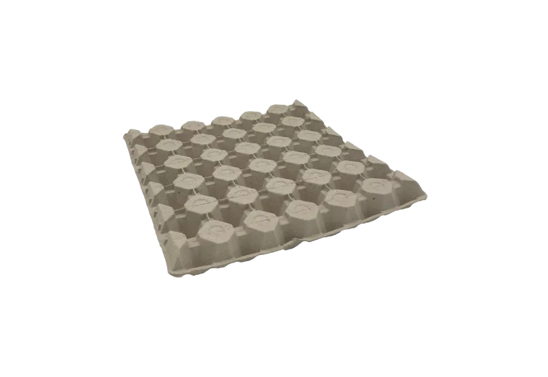 Egg Tray Lid